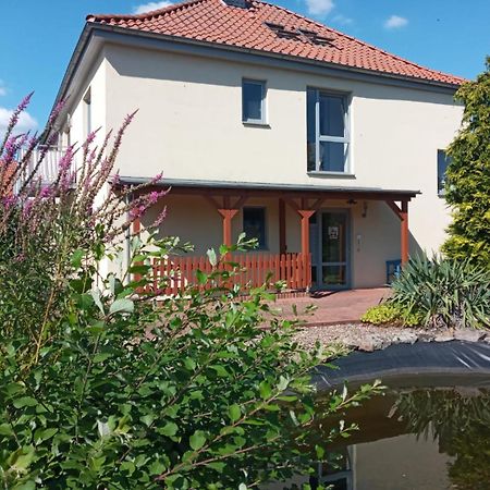 Ferienwohnung Toelle Bad Rehburg Exterior foto
