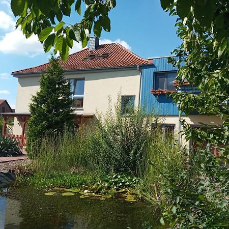 Ferienwohnung Toelle Bad Rehburg Exterior foto